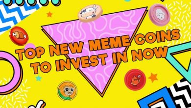 find-out-more-about-the-3-best-new-meme-coins-to-invest-in-now-[a-$5.1m-presale-ready-to-shake-up-crypto]