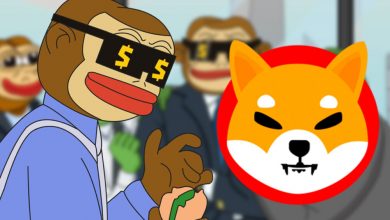 crypto-bulls-bet-on-wall-street-ponke-for-100×-gains-in-2025:-can-it-beat-doge-and-shib?