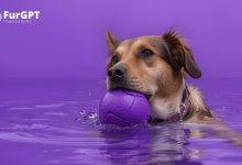 furgpt-secures-strategic-exchange-listing-to-expand-token-accessibility-and-liquidity