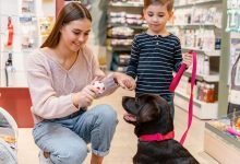 petenkoiratarvike-review-–-finland’s-most-trusted-pet-store